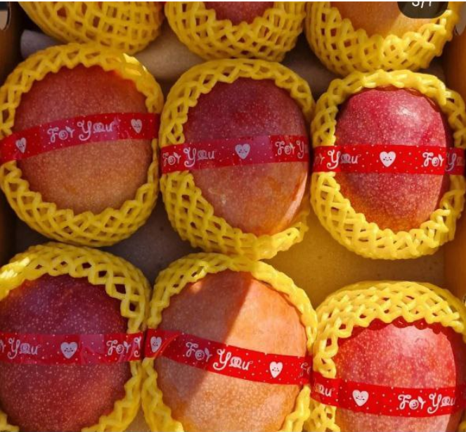 Мы нашли нишу, куда не идут сети, и продаем на 10 млн ₽ в год. Но всё время думаем, что дальше - 6 Мы нашли нишу, куда не идут сети, и продаем на 10 млн ₽ в год. Но всё время думаем, что дальше - 6