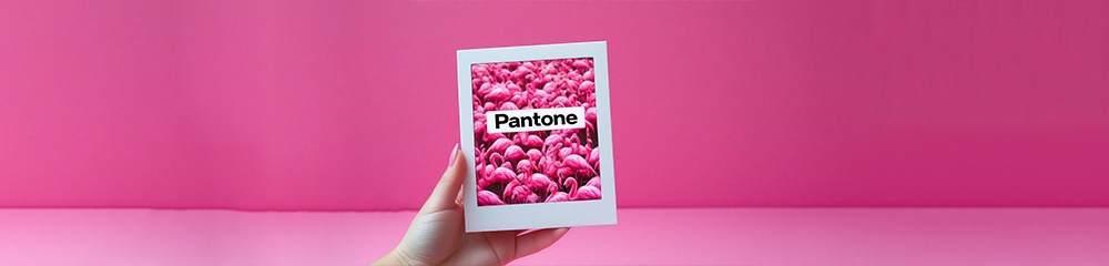 Циан и Озон - 5 Циан и Озон - 5