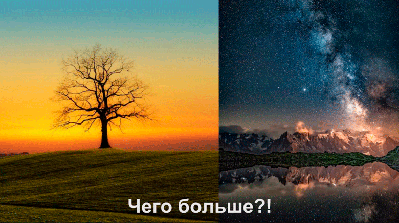 Как CEO и CFO смотрят на кибербез и как извлечь из этого пользу? - 4