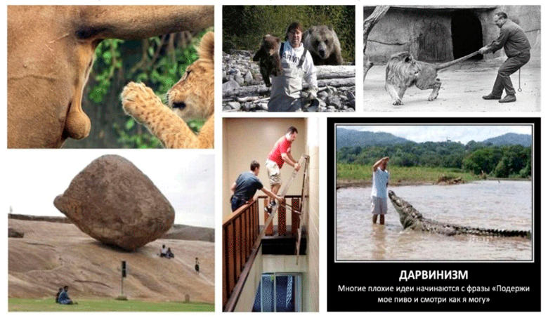 Как CEO и CFO смотрят на кибербез и как извлечь из этого пользу? - 7