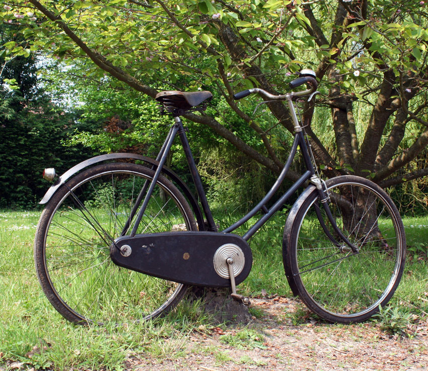 Велосипедный пузырь на рынке в XIX веке: как это было - 5