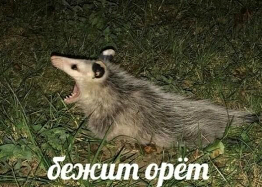 Проекты и как с ними бороться - 1