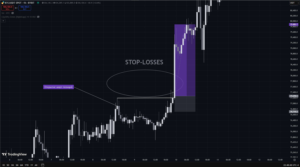 Ваши стоп-лоссы — их топливо. Smart Money: модель потоков ликвидности и роль крупных игроков - 6