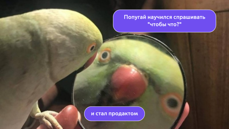 Рубрика: выскажи свое мнение как продакт или что бы я хотела знать в начале карьеры - 1