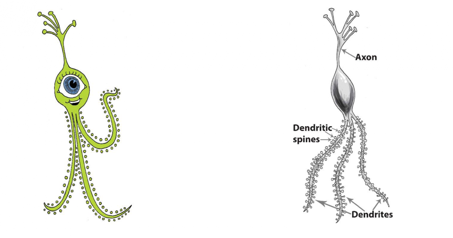 Шесть способов учиться новому максимально быстро и эффективно - 3