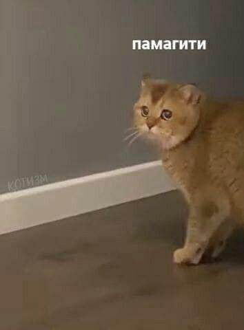 Оптимизация внедрения ИС: от командировок в Китай до электронных курсов - 5