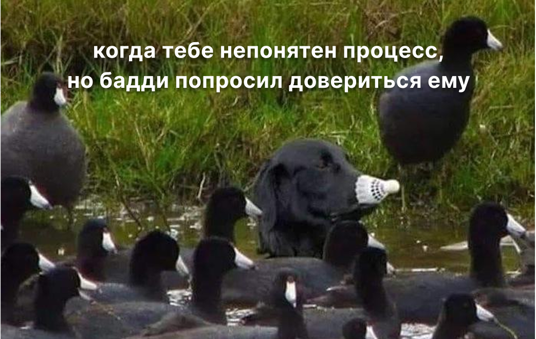 Бадди-система: как и зачем внедрять в компаниях - 1 Бадди-система: как и зачем внедрять в компаниях - 1