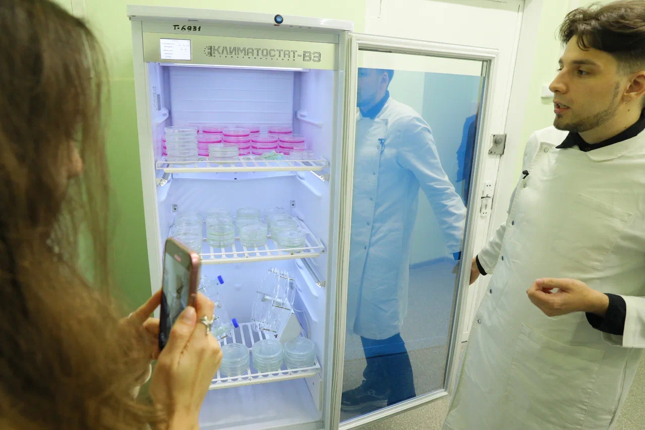 Фото Николая Малахина/портал "Научная Россия". 