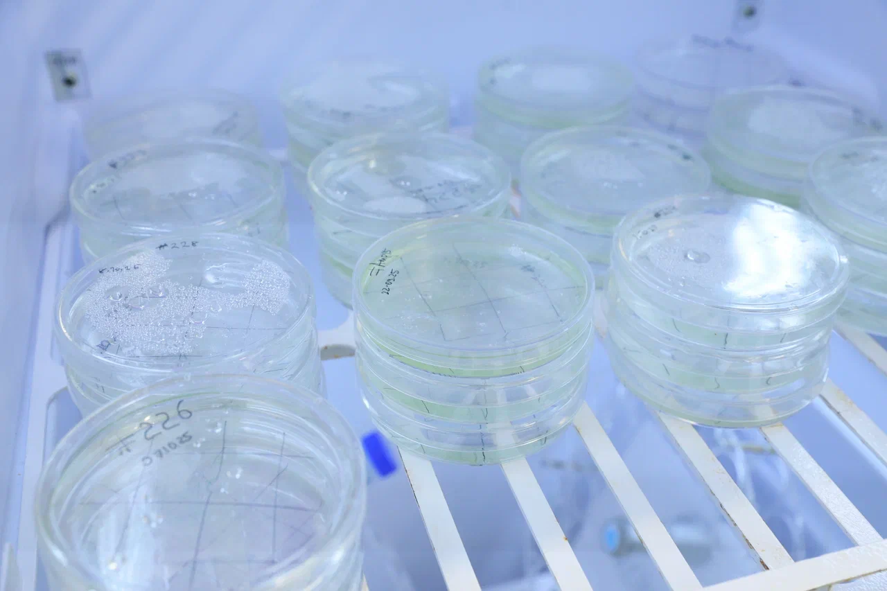 Фото Николая Малахина/портал "Научная Россия". 