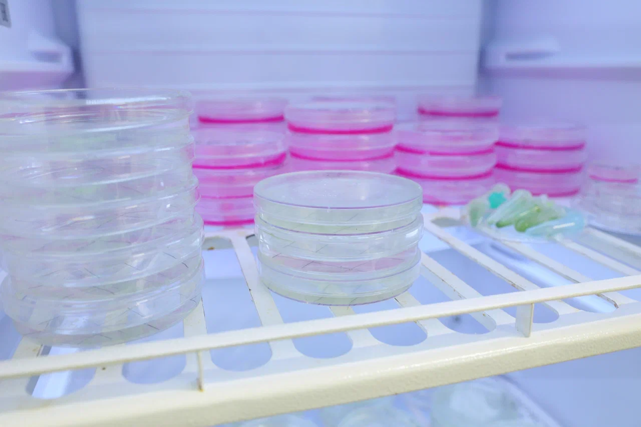 Фото Николая Малахина/портал "Научная Россия". 