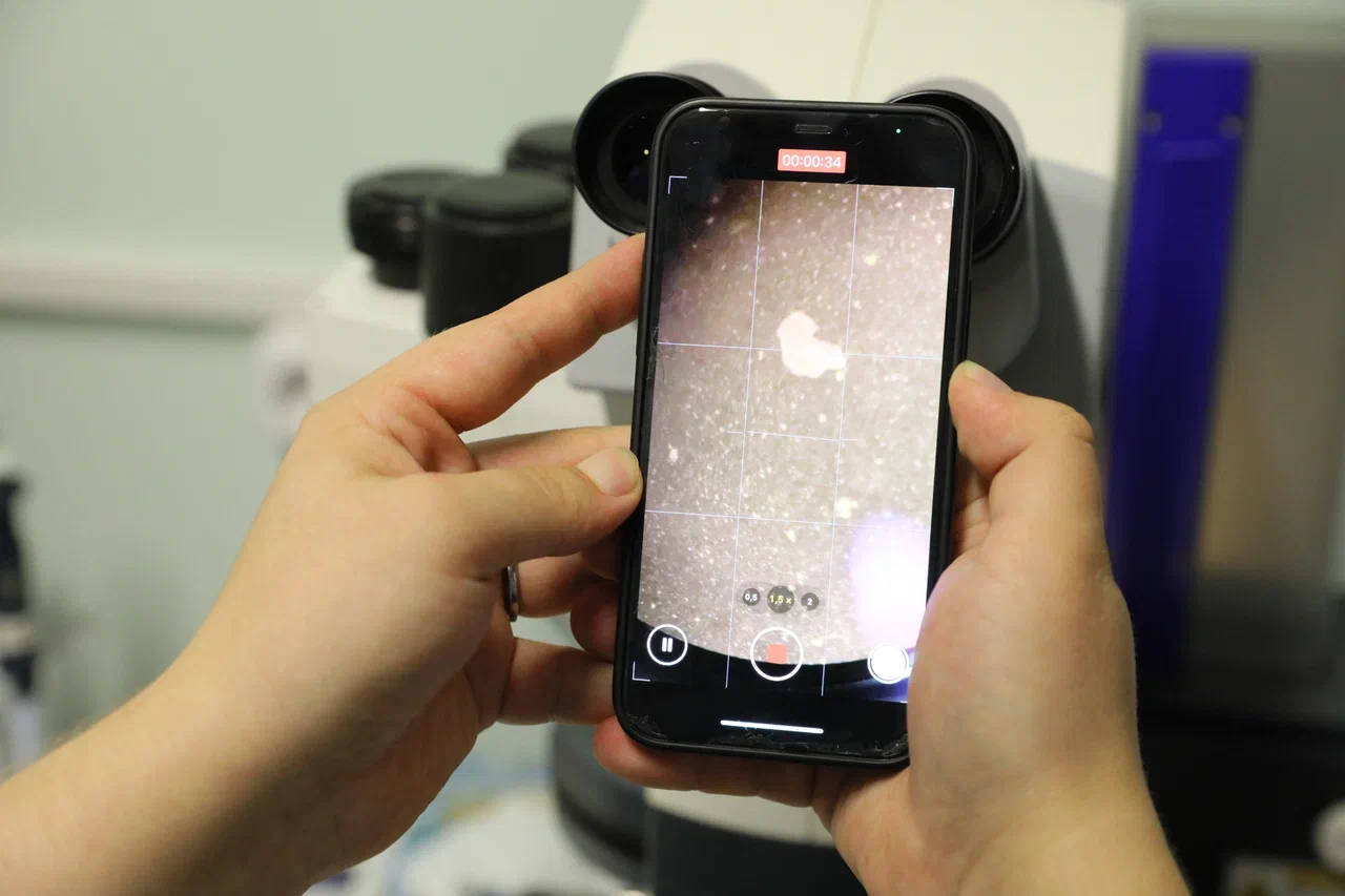 Фото Николая Малахина/портал "Научная Россия". 