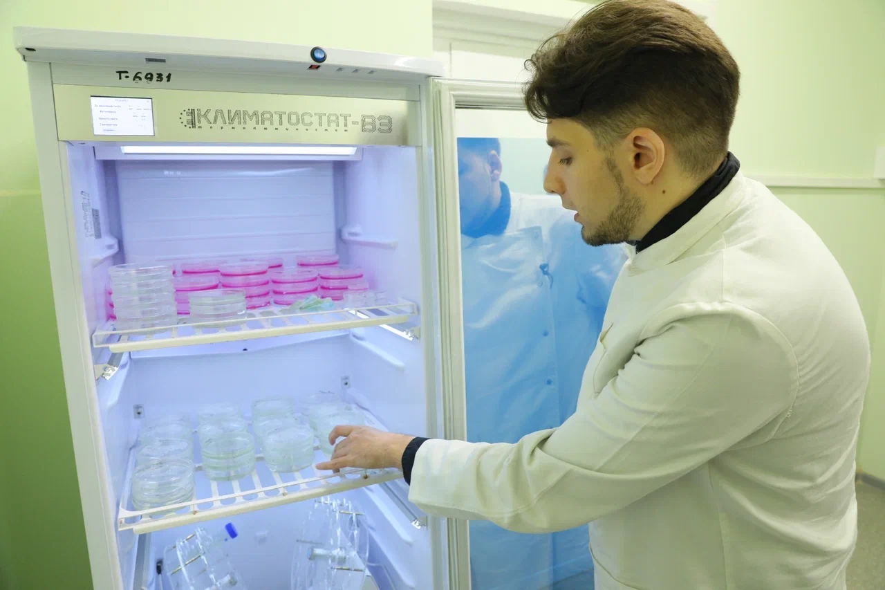 Фото Николая Малахина/портал "Научная Россия". 