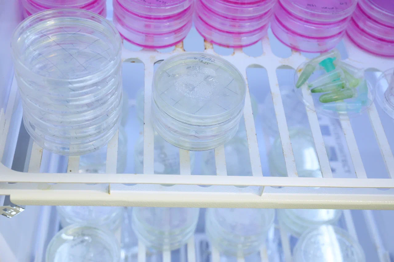 Фото Николая Малахина/портал "Научная Россия". 