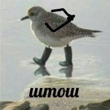 Метод Кано на практике: как мы перестали гадать и стали понимать пользователей лучше - 19 Метод Кано на практике: как мы перестали гадать и стали понимать пользователей лучше - 19