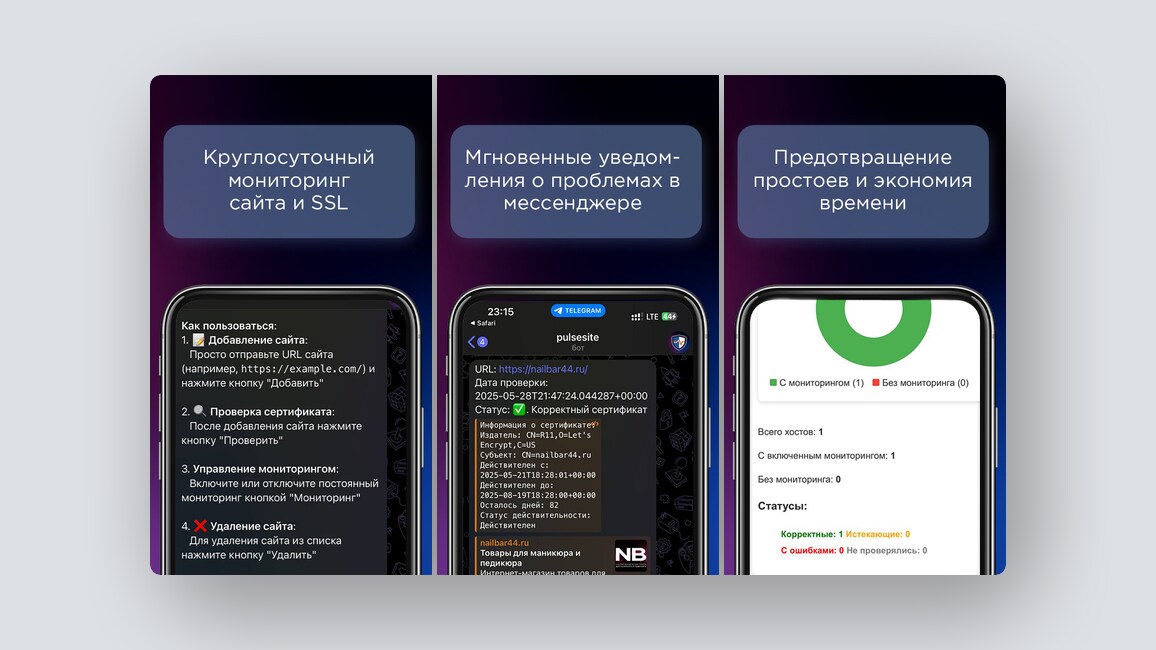 Российская Canva, анонимные советы по вашим проблемам — и ещё 8 российских стартапов - 3