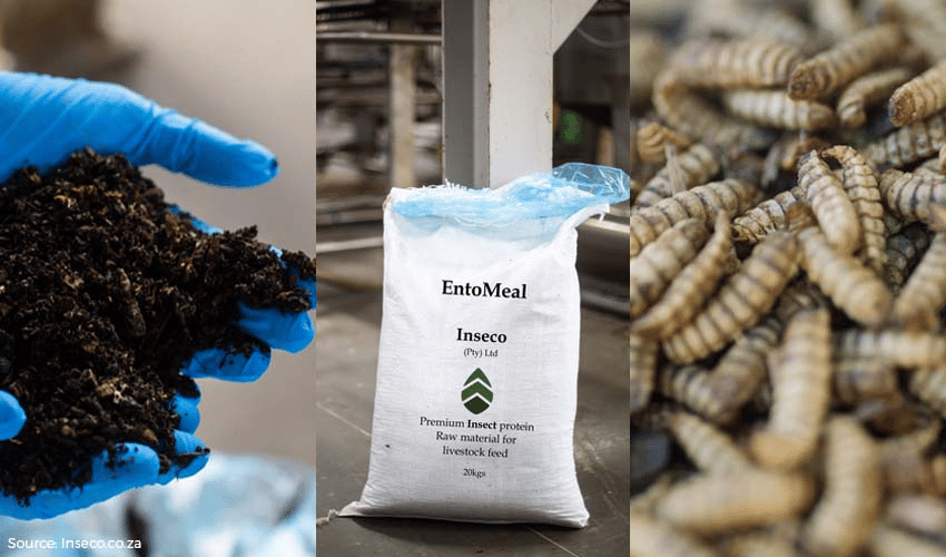 Убиты блэкаутами - 1