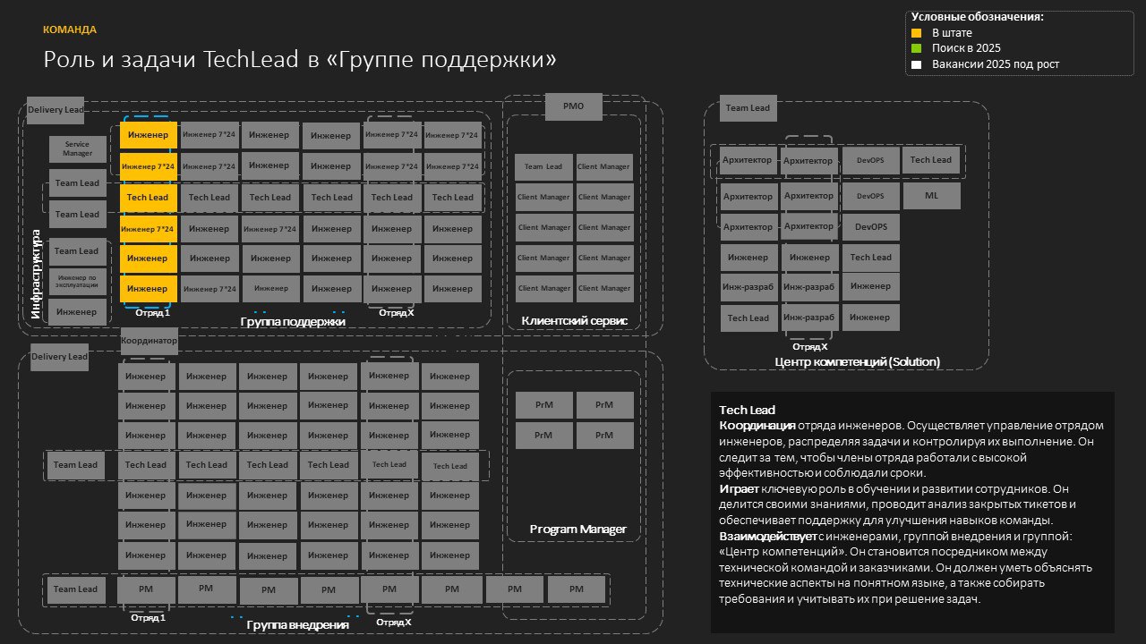 Как построить Professional Services, или Запускаем автономные отряды и внедрение 24-7 - 1