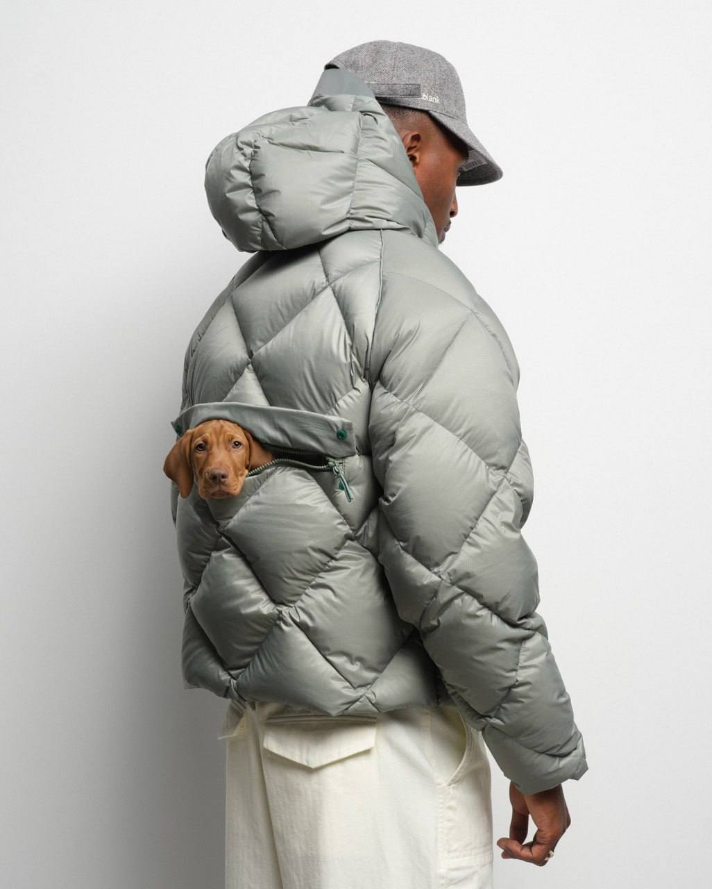 Британцы изобрели пуховик с карманом для собаки. Это либо гений маркетинга, либо конец здравого смысла - 1