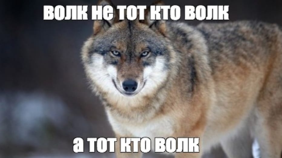 Per aspera ad astra. Как построить космолет, не привлекая внимания санитаров - 4