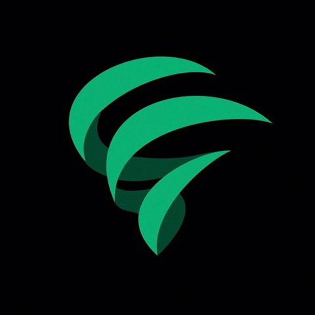 Логотип Vortex  