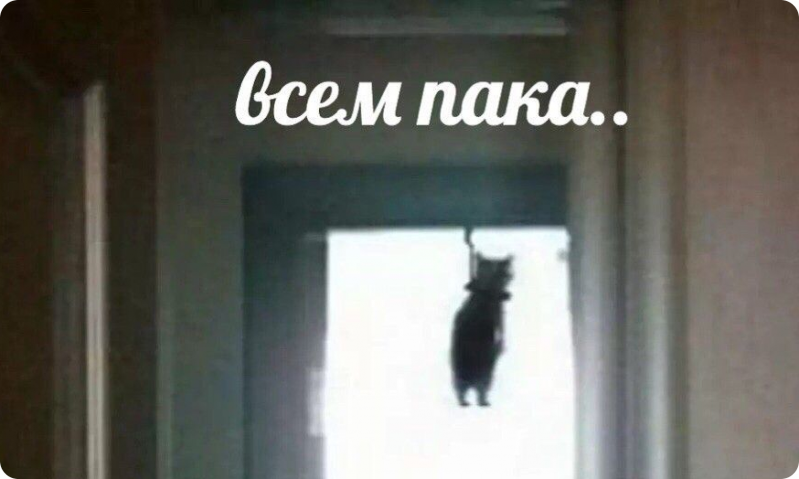 Команда проджекта в этот момент