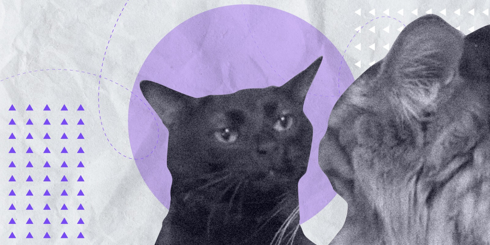 Как спасти проект, если заказчик не доволен РП - 3 Как спасти проект, если заказчик не доволен РП - 3