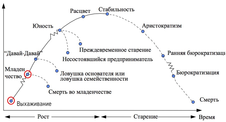 Жизненный цикл компании по Адизесу. Проект перешел на этап Младенчество  
