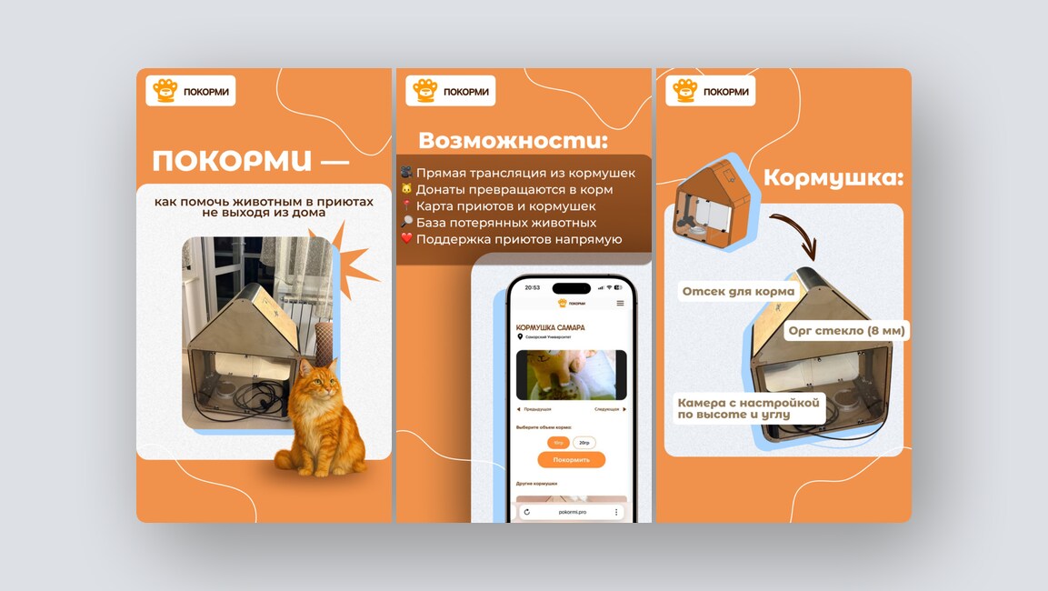 Кормим котов из приютов онлайн, тестируем IT-проекты на автопилоте — и ещё 8 российских стартапов - 1 Кормим котов из приютов онлайн, тестируем IT-проекты на автопилоте — и ещё 8 российских стартапов - 1