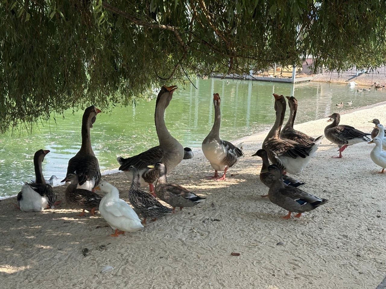 Среди кокса, шлака, валков и лебедей: день на металлургическом комбинате - 29 Среди кокса, шлака, валков и лебедей: день на металлургическом комбинате - 29