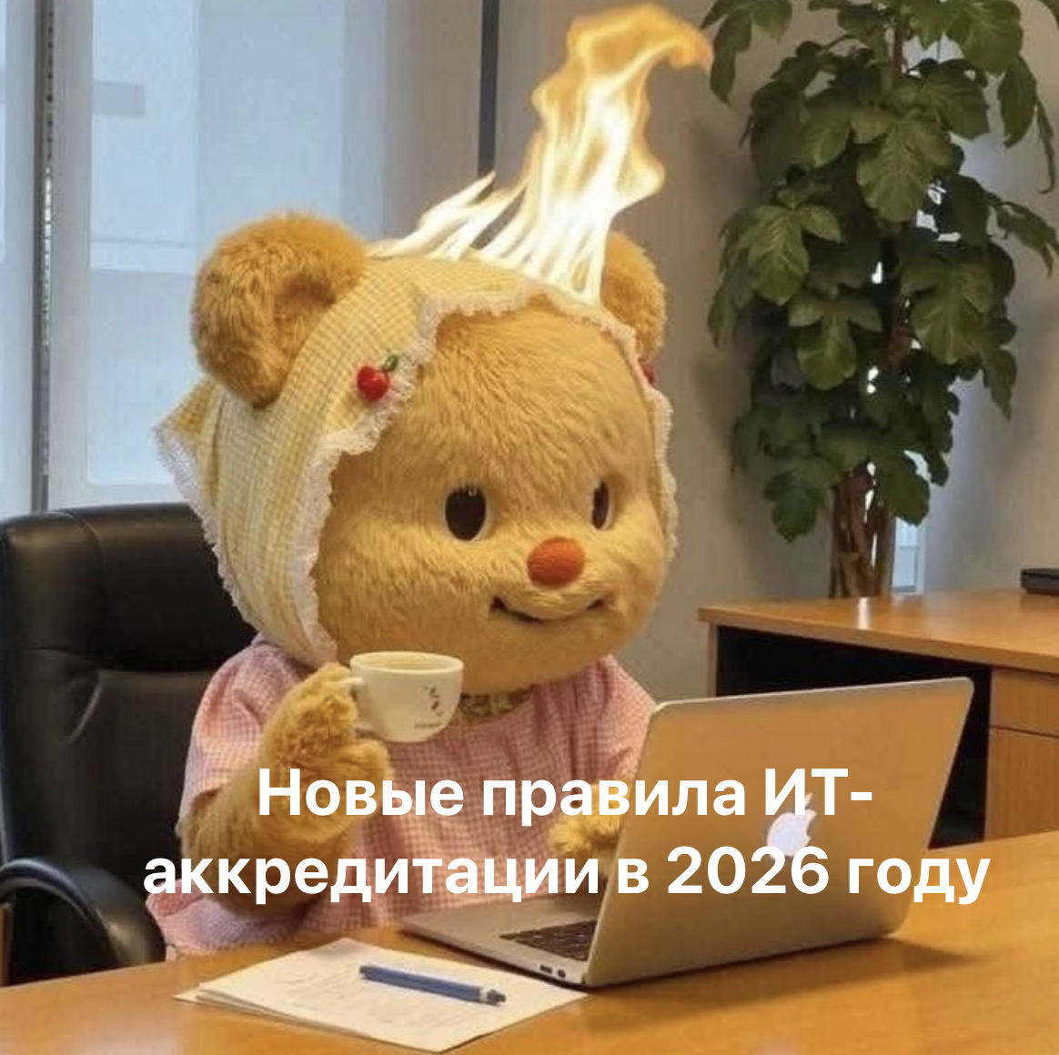 Как получить и подтвердить ИТ-аккредитацию в 2026: всё о новых правилах - 1