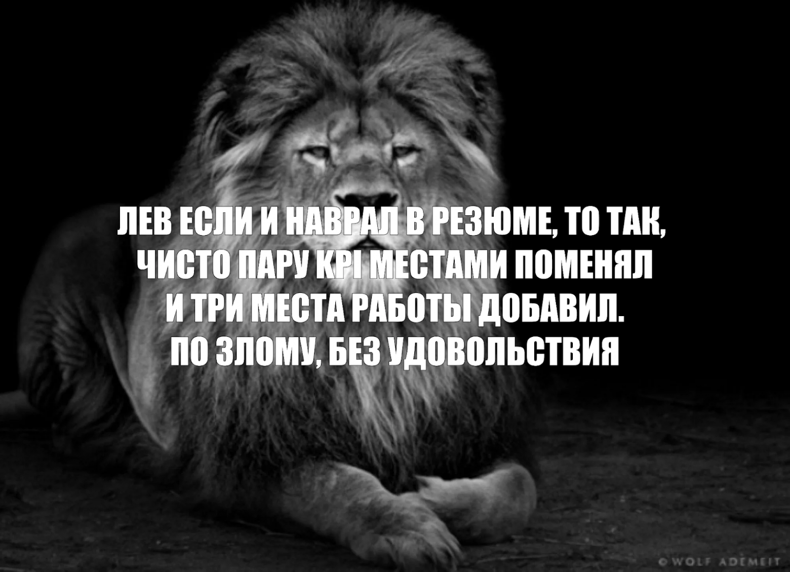 За что я ненавижу фрилансеров и как научился с ними работать - 3