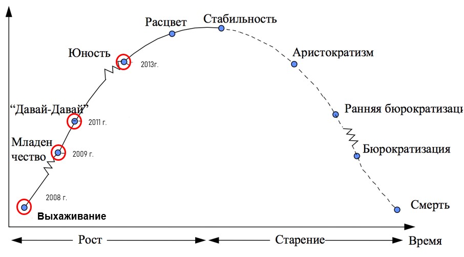 Становление компании по Адизесу
