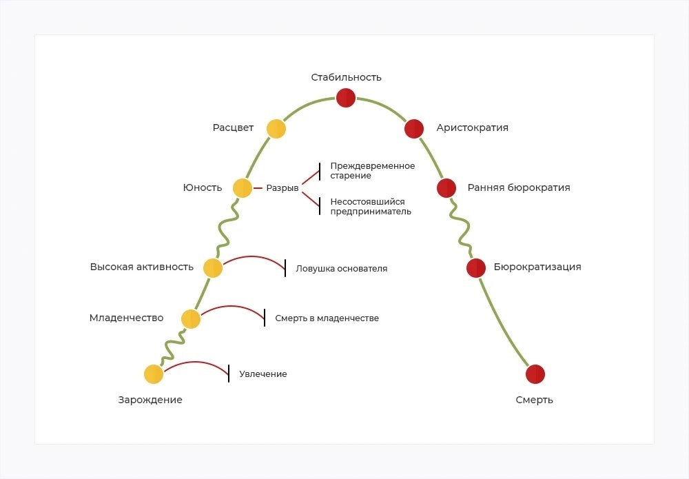 Модель жизненного цикла Ицхака Адизеса