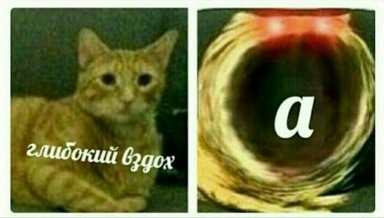 Как защищаться от ИИ-психоза: гайд даже для тех кто думает что их это не коснется - 6 Как защищаться от ИИ-психоза: гайд даже для тех кто думает что их это не коснется - 6