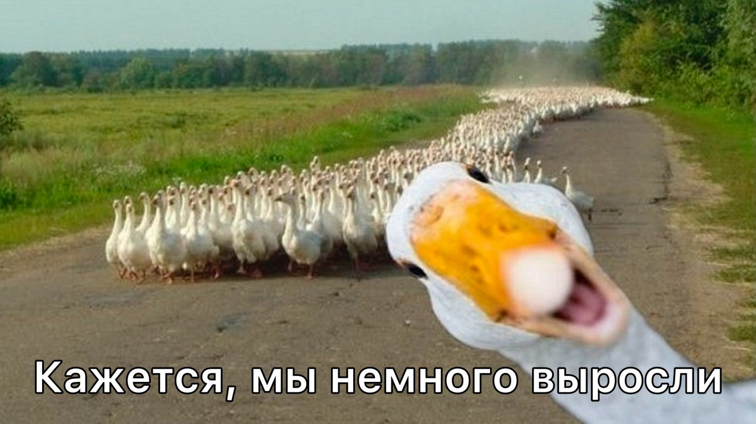 Из ручной инженерии в системную: как управлять командой, когда она перестает помещаться в один созвон - 1 Из ручной инженерии в системную: как управлять командой, когда она перестает помещаться в один созвон - 1