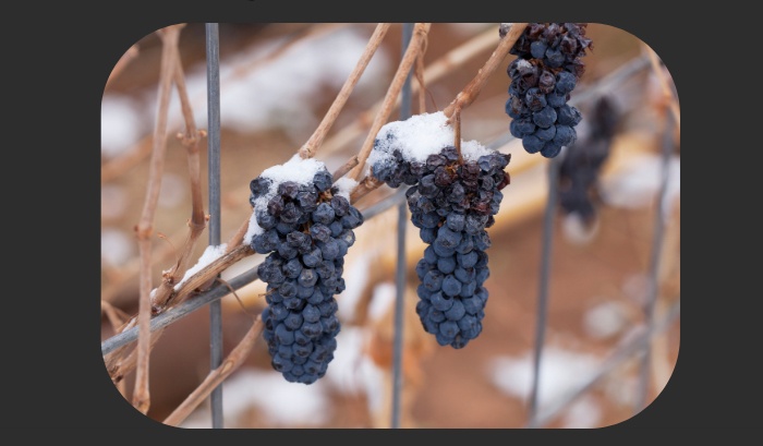 Некогда ценный, сейчас позабытый.