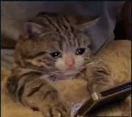 Я, когда сказали, что что-то не нравится и нужно что-то добавить.