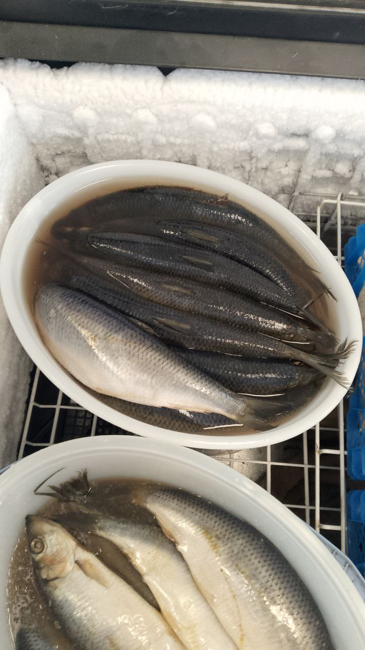 Брали одинаковую селёдку, на одной ставили цену 490, на другой 520, там где 520, говорили что крупная, люди брали за 520