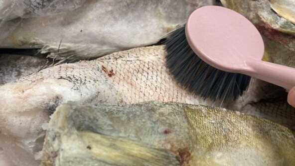 Щетка для очистки рыбы от снега