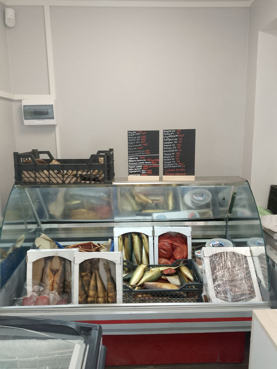 Я вскрываю коробки, счищаю снег с рыб и за 4 месяца зарабатываю минус 26 тысяч