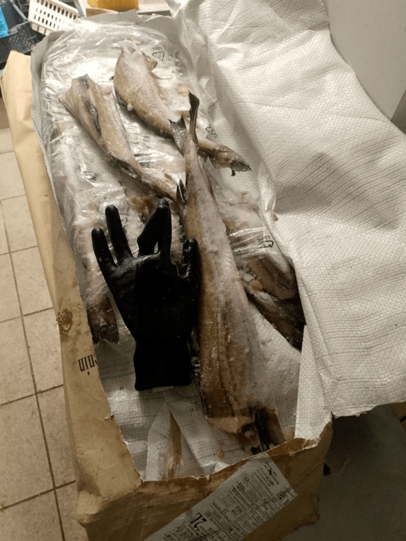 Разбираем рыбу из блоков