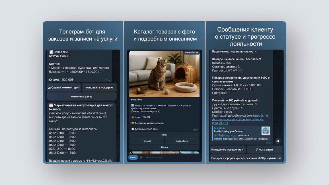 Мессенджер для общения без интернета, спец-хостинг для ботов в Telegram, MAX и других — и ещё 8 российских стартапов - 9