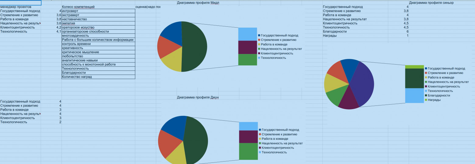 профили Джунсиньормидл+корп.ценности компании и фокусные треки