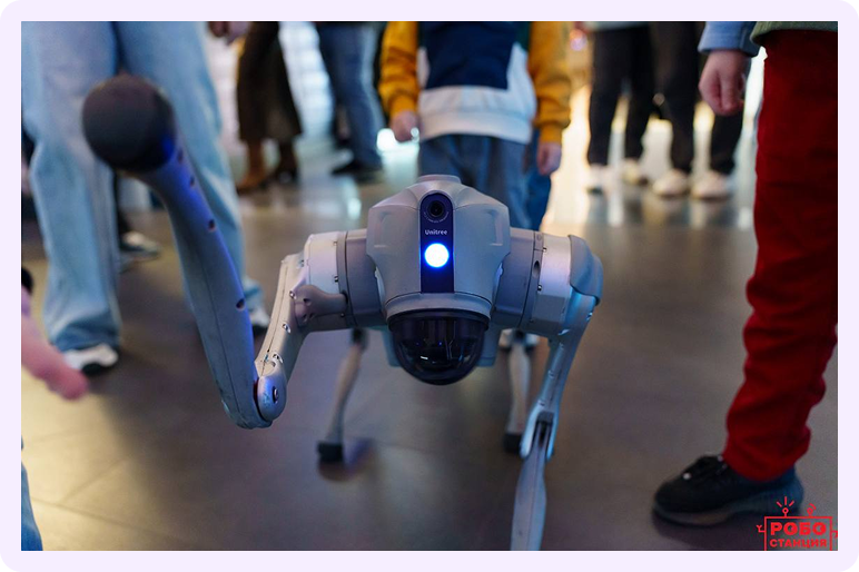 А вот робособака на нашей Робостанции. Источник фото