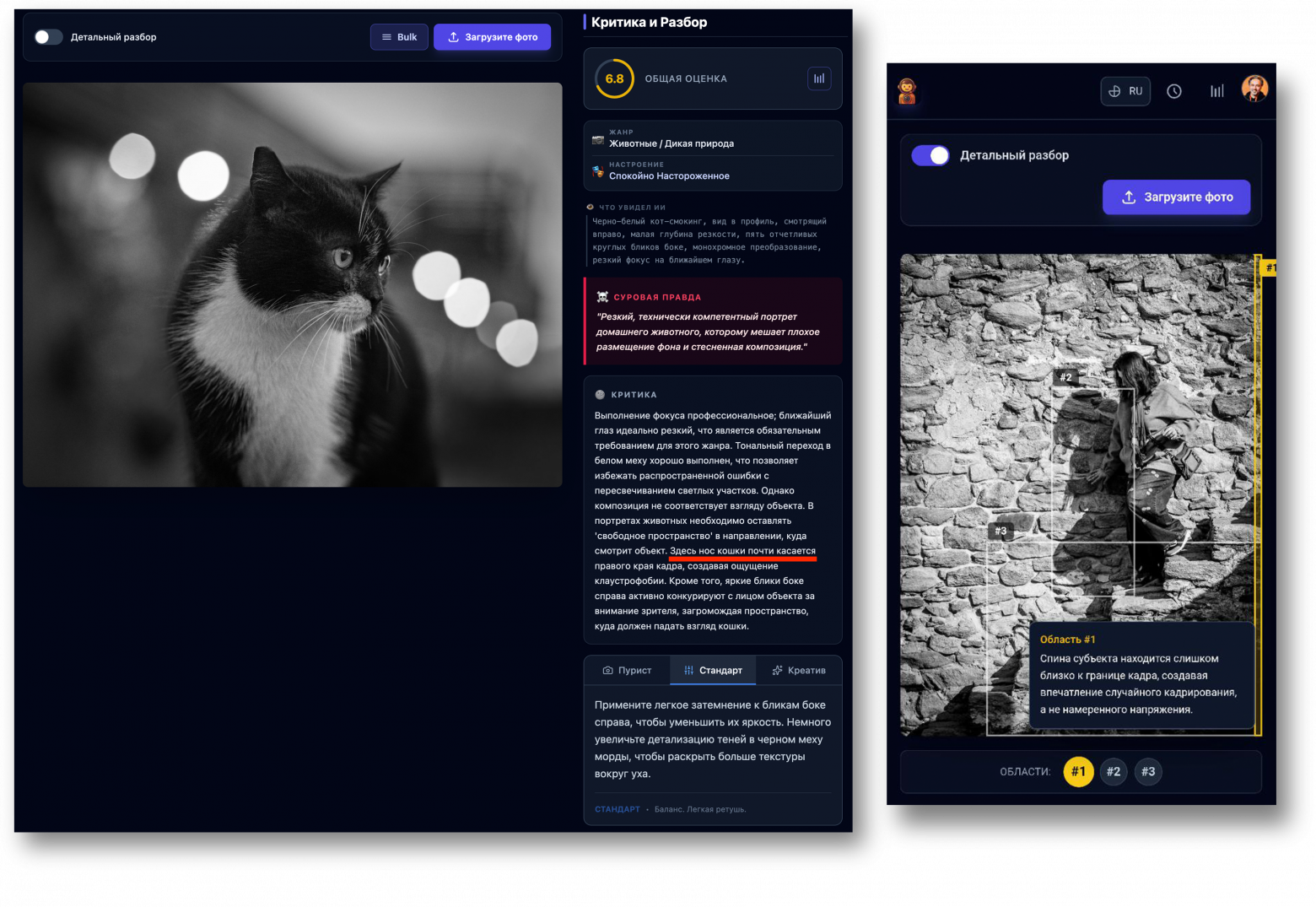 Нос кошки / Спина субъекта