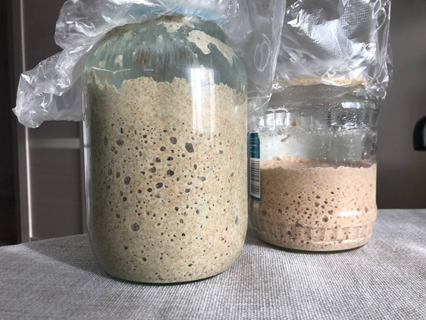 Активная закваска