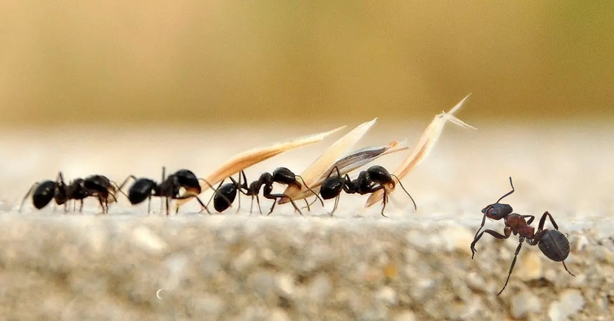 Разработчики должны быть слегка циничными - 1