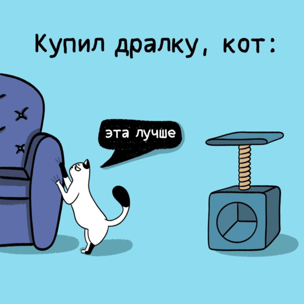 Без корма кошка умрёт, без когтеточки — переживёт. Люди это прекрасно понимают, когда денег мало.