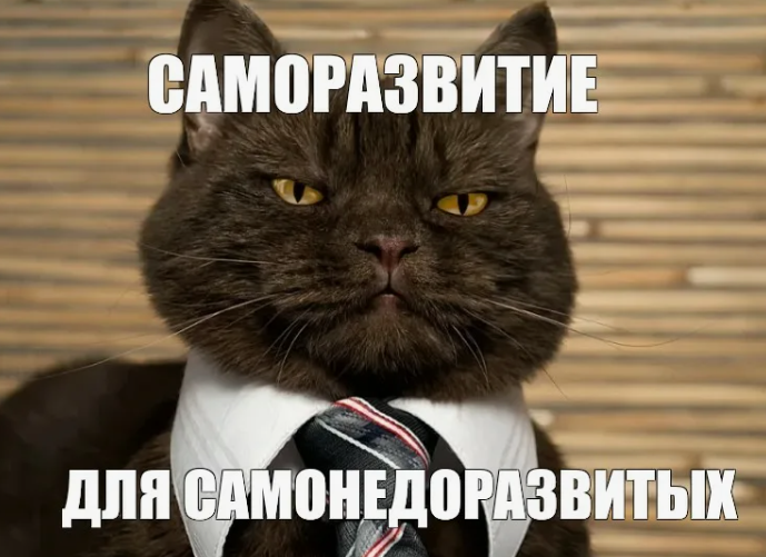 Взросление IT-бренда в 2026-м: как привлекать специалистов, когда рынок устал от турбулентности - 6