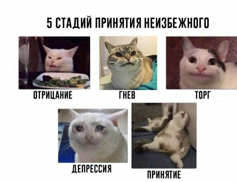 Стадии принятия ИИ в разработке: почему команда саботирует его внедрение и что с этим делать - 1